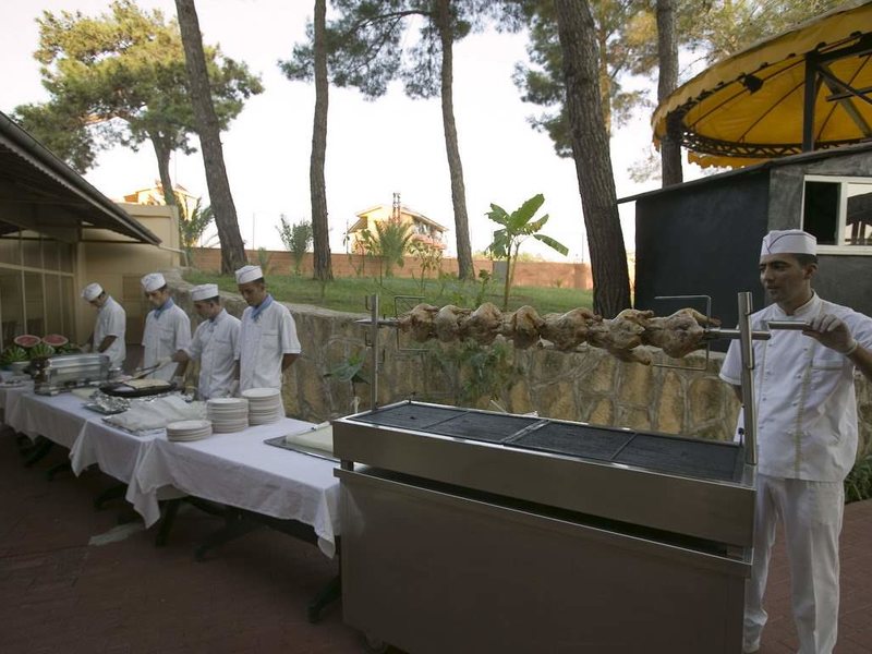 Palm D or Hotel 50805