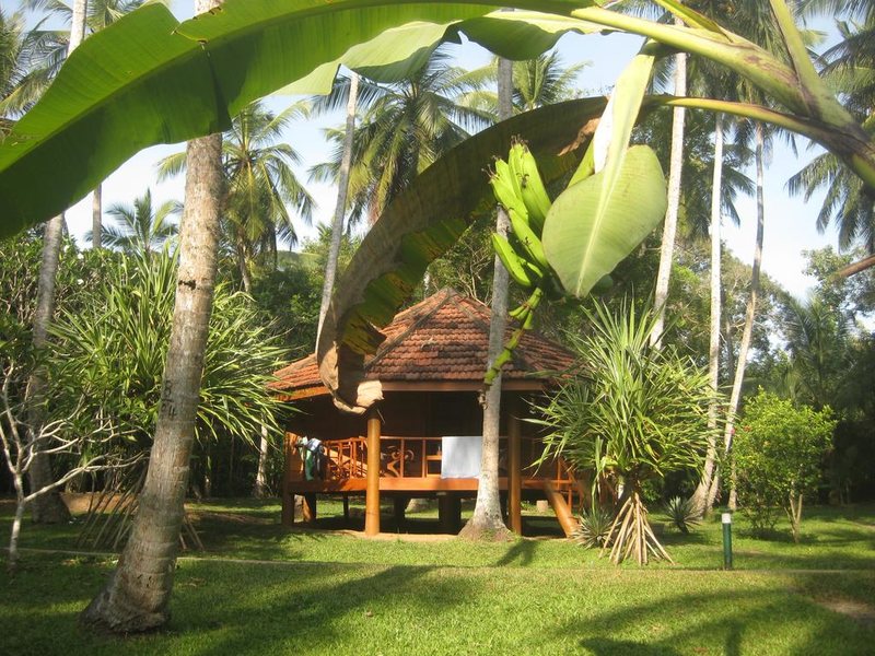 Palm Paradise Villas 108238