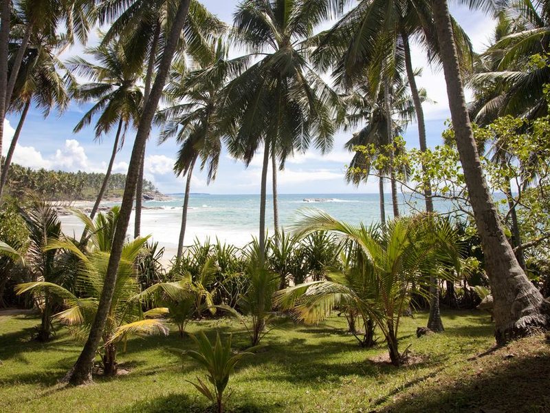 Palm Paradise Villas 108243