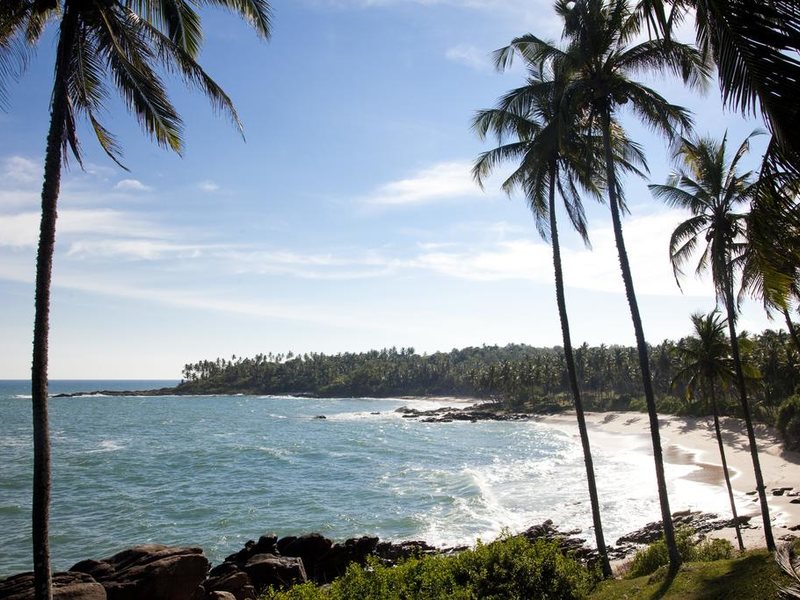 Palm Paradise Villas 108246