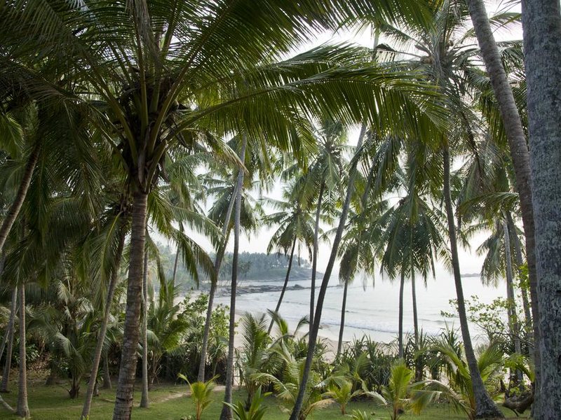 Palm Paradise Villas 108247