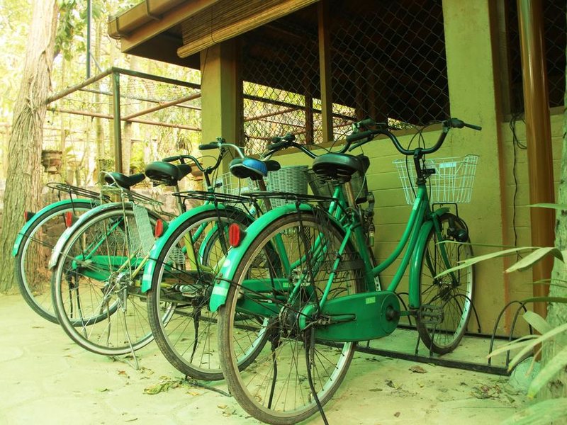 Palm Paradise Villas 108252