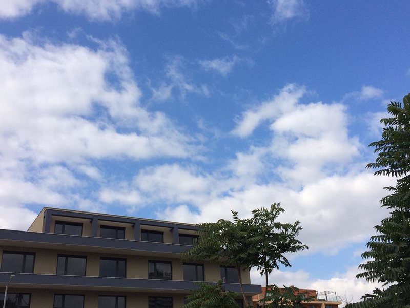 Palm Residence 166950