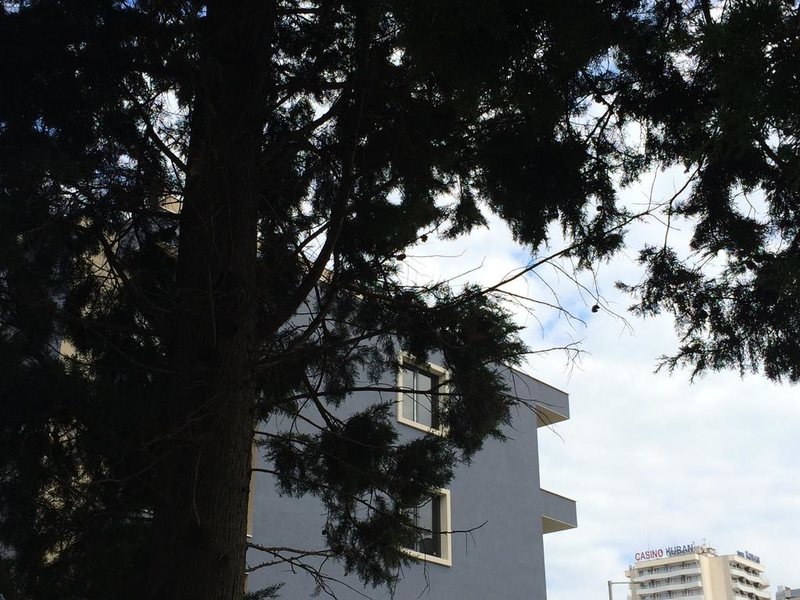 Palm Residence 166951