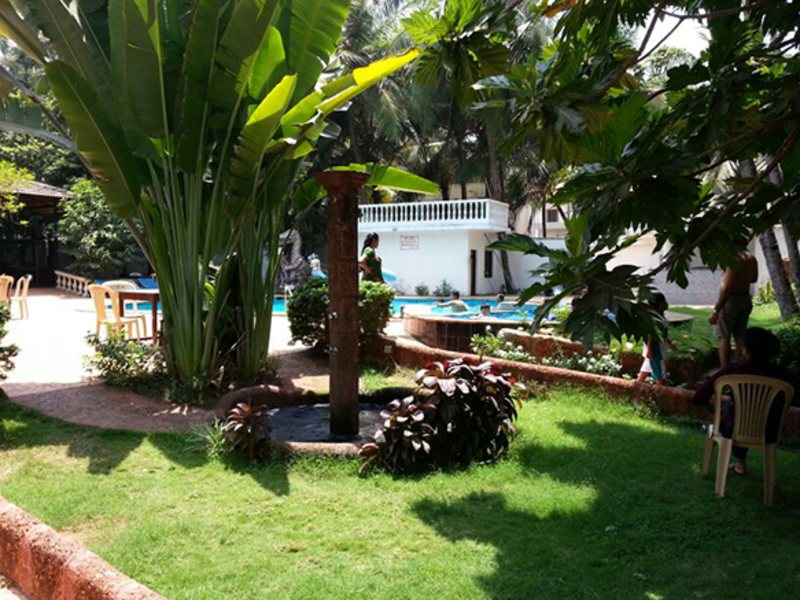 Palm Resort 114600