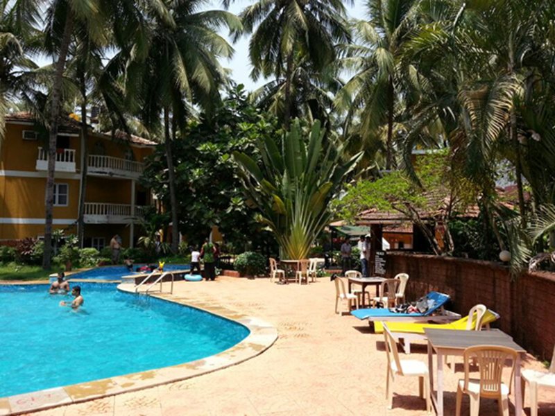 Palm Resort 114601