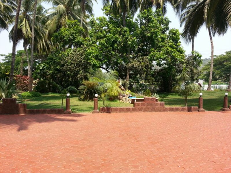 Palm Resort 114603