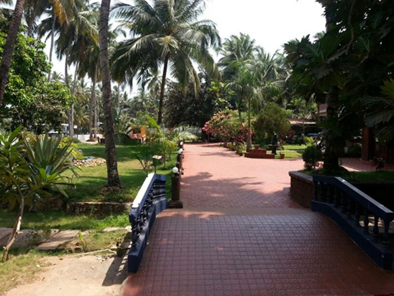 Palm Resort 114604