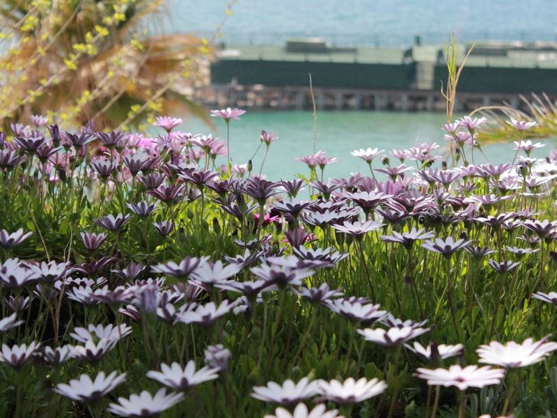 Palm Wings Beach Resort Didim 187085