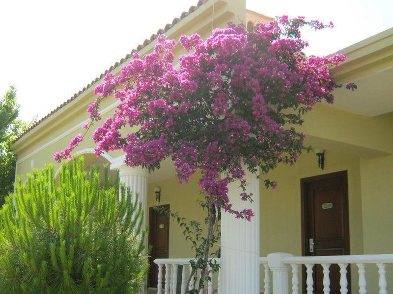 Palm Wings Beach Resort Didim 187104