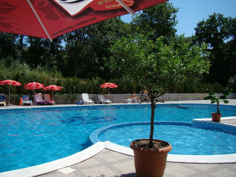 Palma (Kranevo)  166985