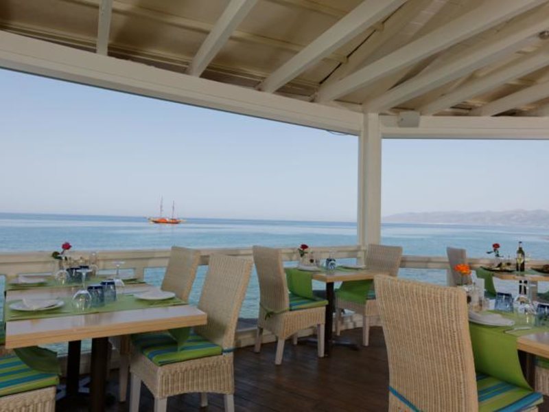 Palmera Beach 101135