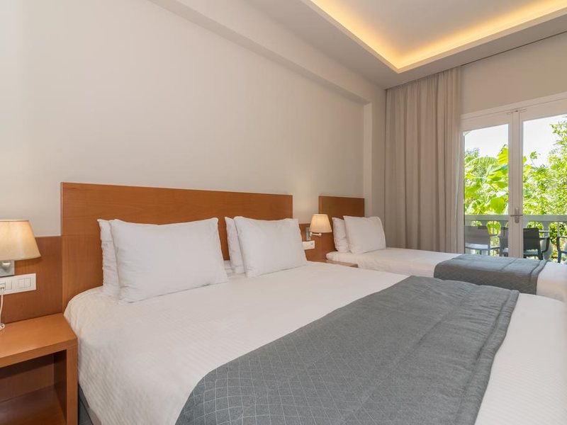 Palmyra Hotel 306387