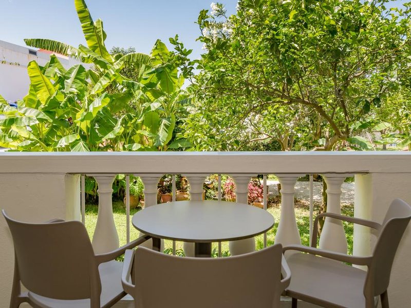 Palmyra Hotel 306400