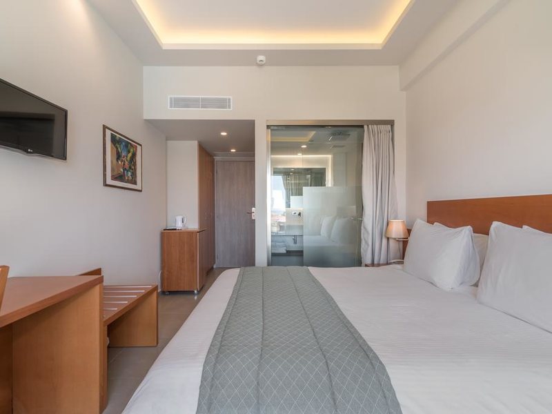 Palmyra Hotel 306403