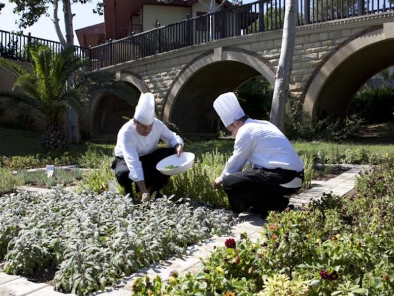 Paloma Grida Resort & Spa (ex 95826