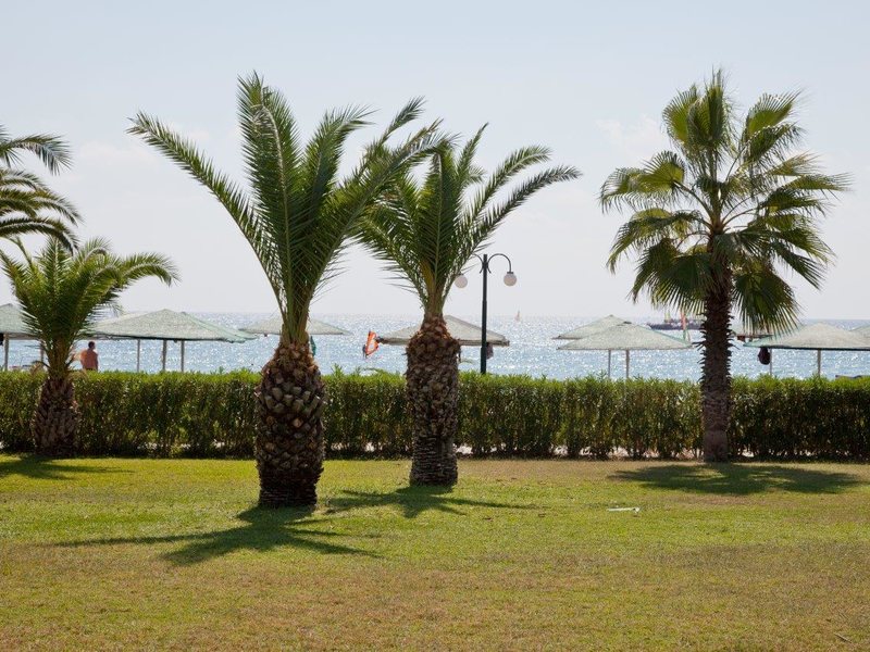 Paloma Paradise Beach 187315