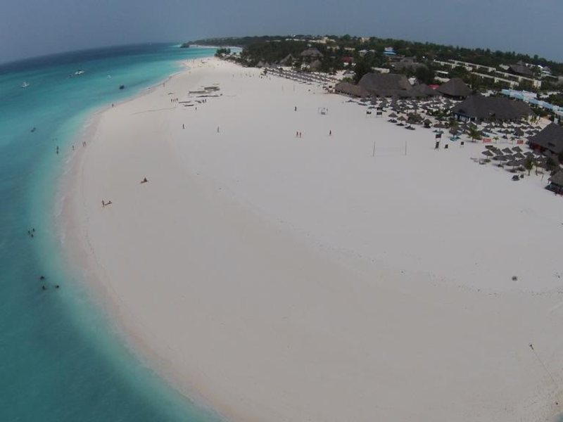 Palumbo Kendwa 201617