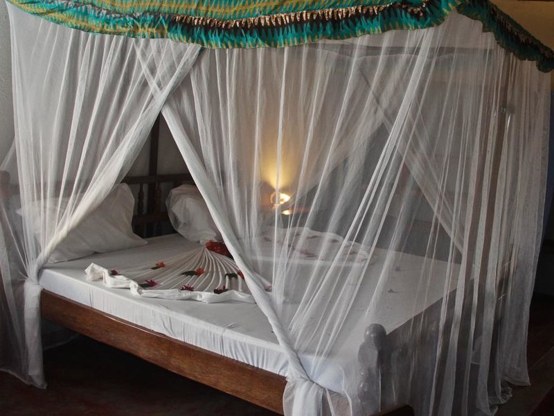 Palumbo Kendwa 201637