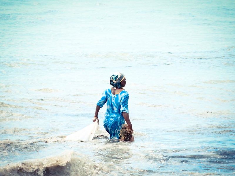 Palumbo Park Beach 322749