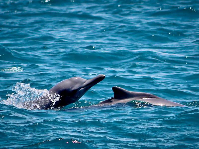 Palumbo Park Beach 322750