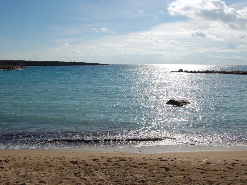 Panareti Coral Bay Hotel 103652