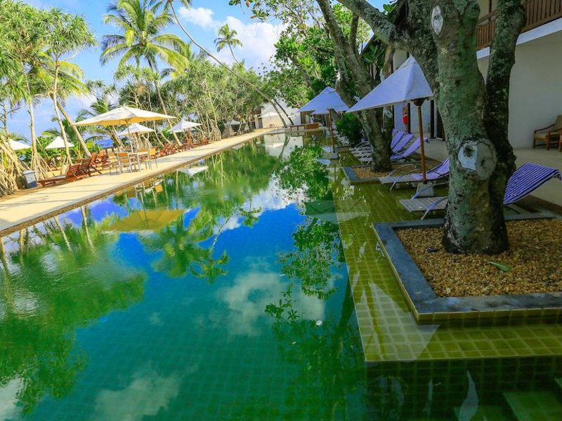 Pandanus Beach (ex 107505