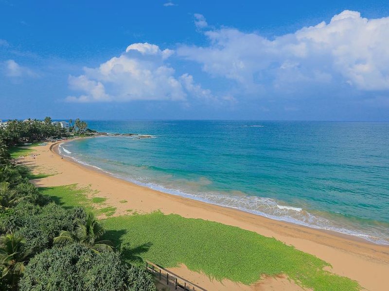 Pandanus Beach (ex 107506