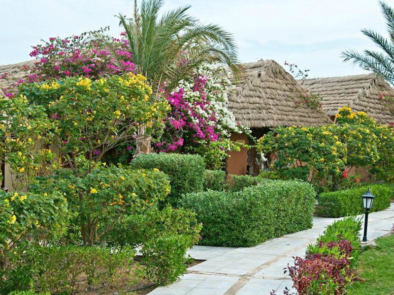 Panorama Bungalows Resort El Gouna  126810