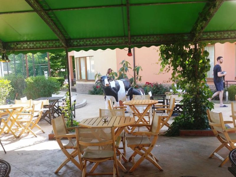 Panorama Dreams Apart 315662