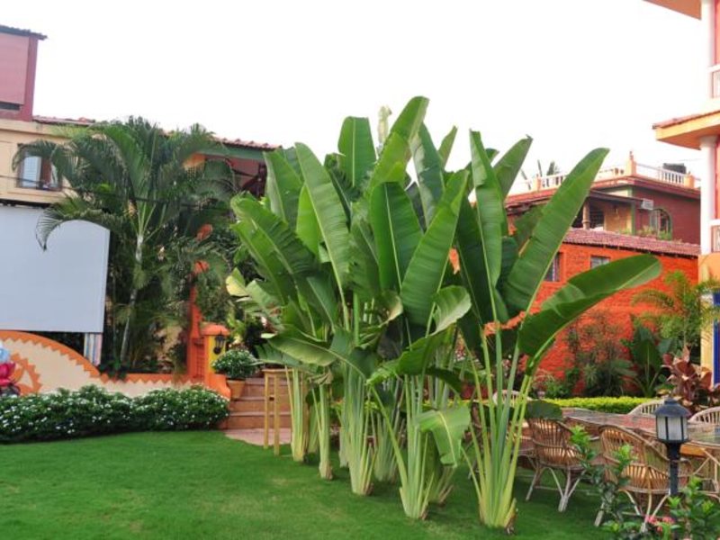 Papa Jolly s Boutique Hotel 115328