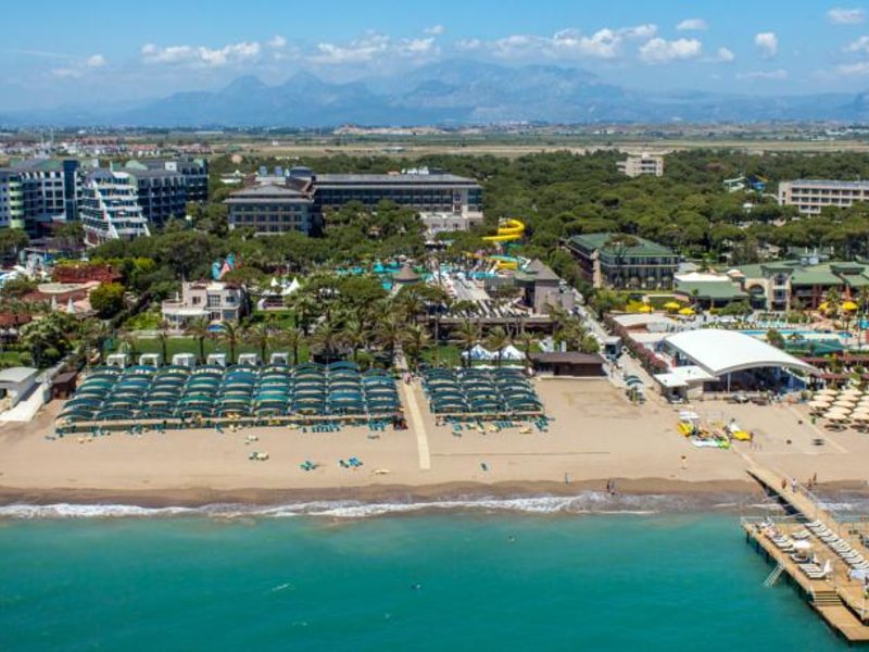 Papillon Ayscha 95994