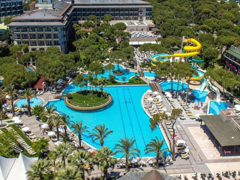 Papillon Ayscha 95995