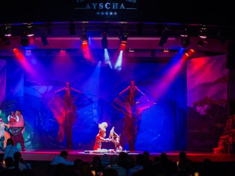 Papillon Ayscha 95998