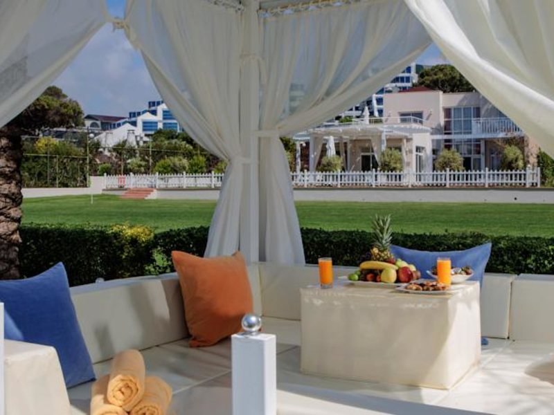 Papillon Ayscha 95999