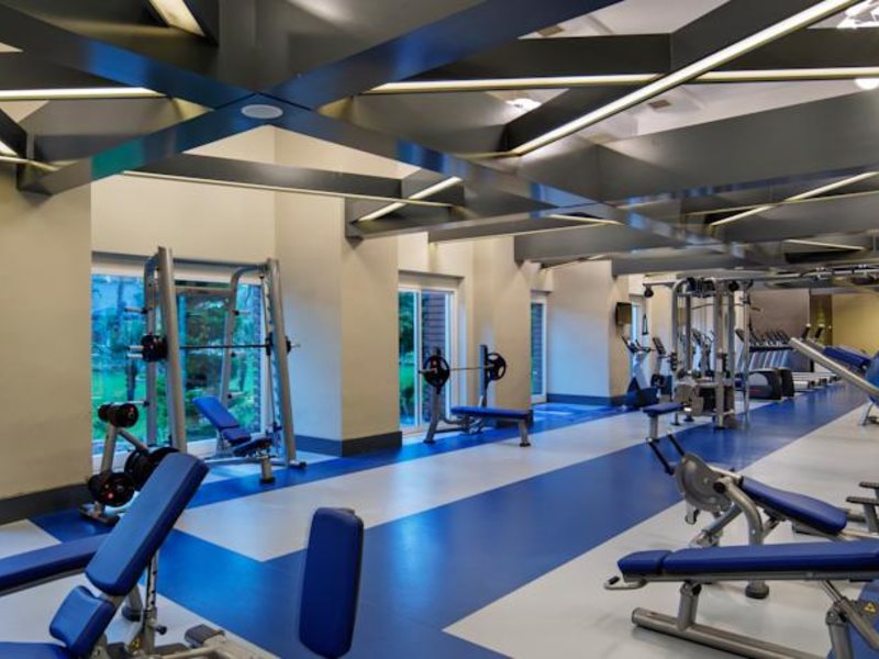 Papillon Ayscha 96003