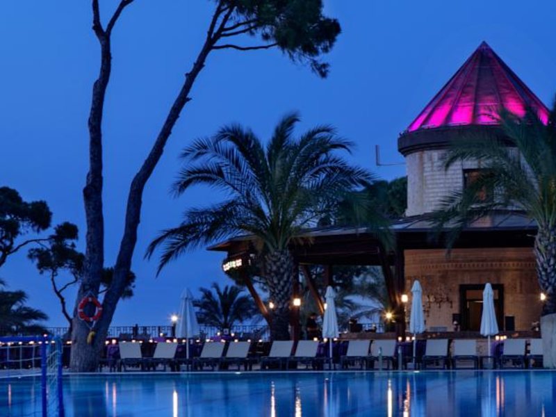 Papillon Ayscha 96005