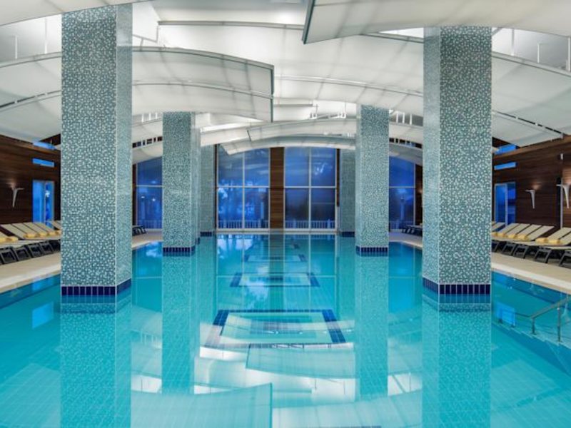 Papillon Ayscha 96007