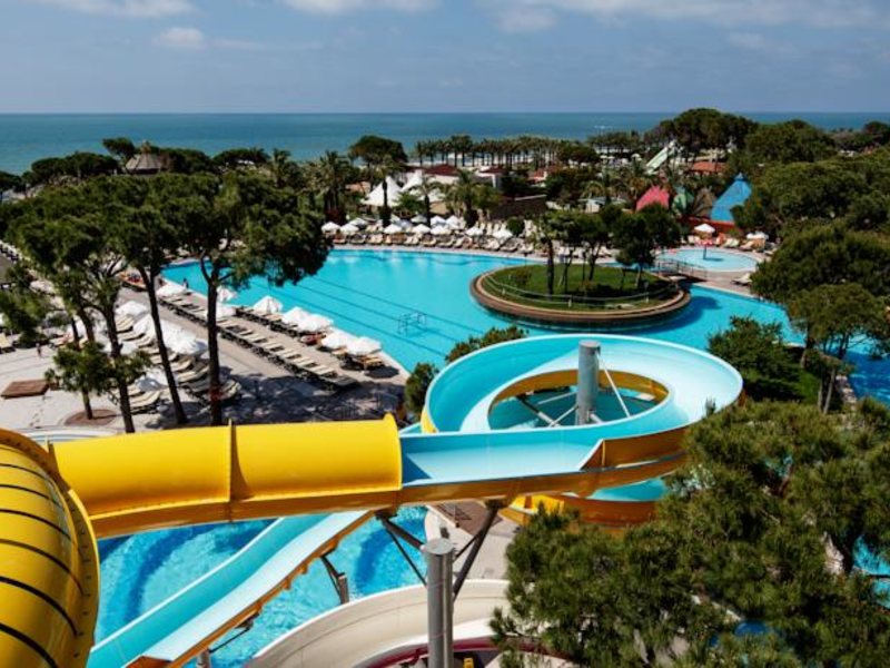 Papillon Ayscha 96011