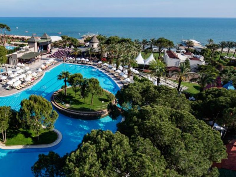 Papillon Ayscha 96012