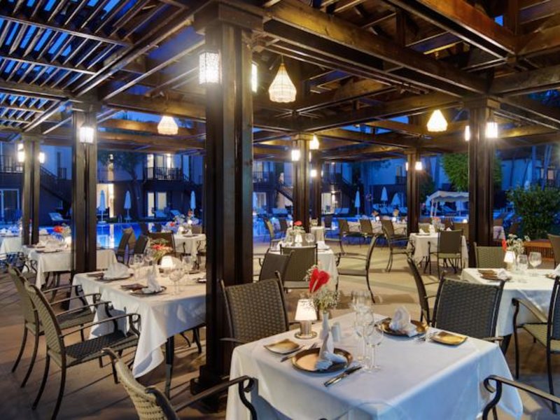 Papillon Ayscha 96016