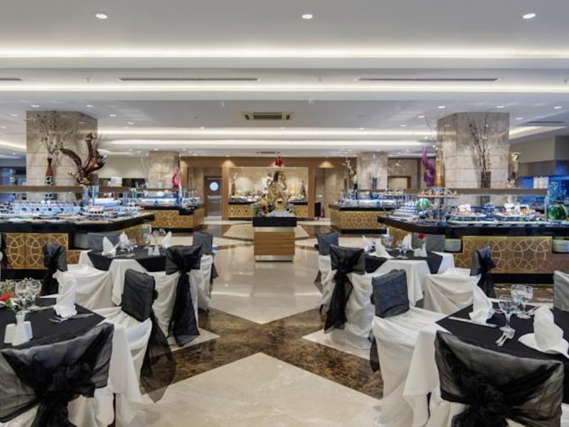 Papillon Ayscha 96018