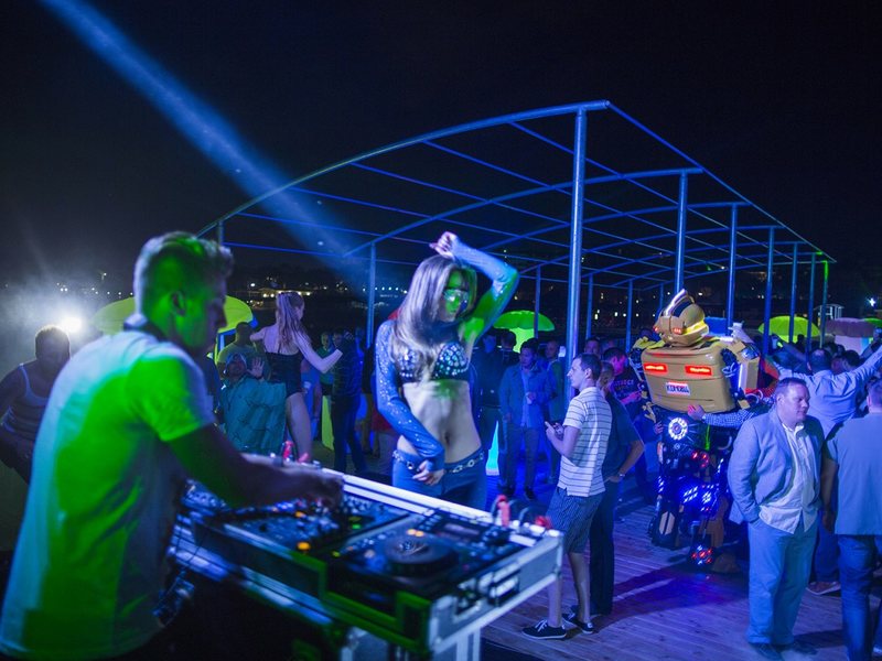 Papillon Ayscha 96019