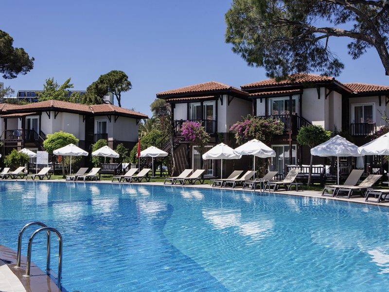 Papillon Ayscha 96020