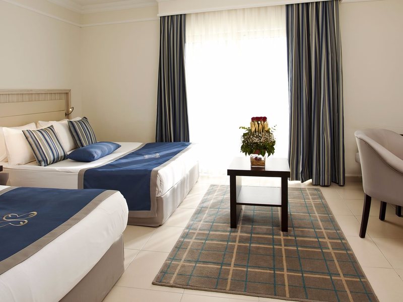 Papillon Belvil  265624