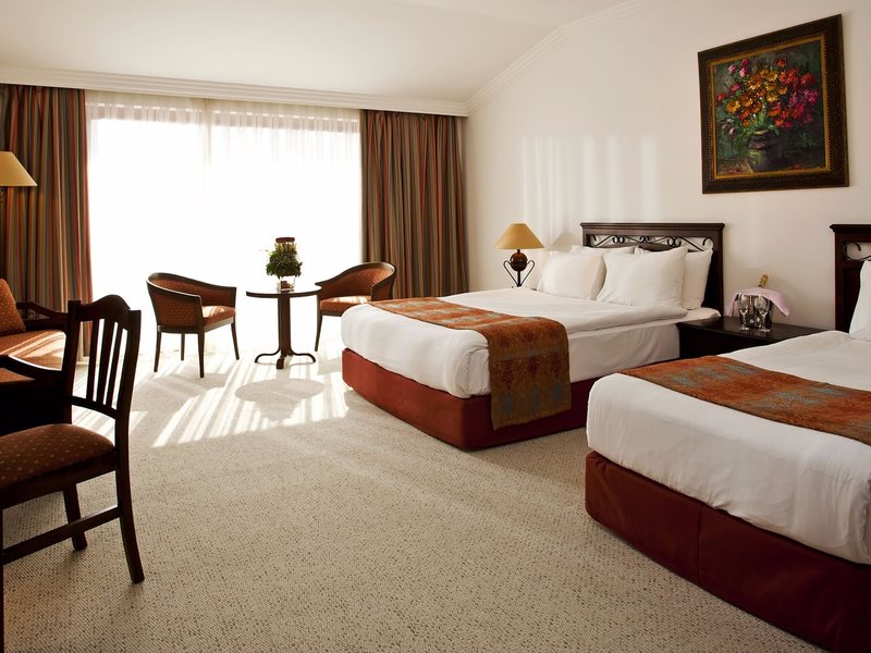 Papillon Belvil  265625