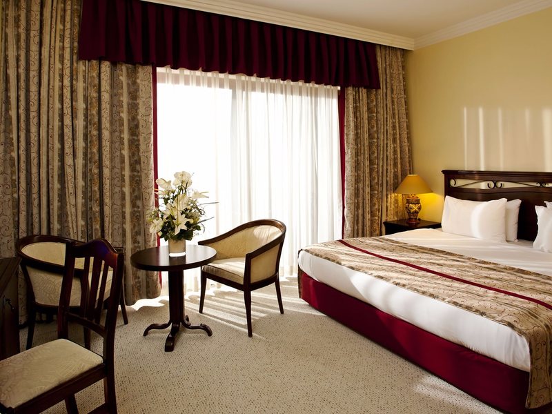 Papillon Belvil  265627