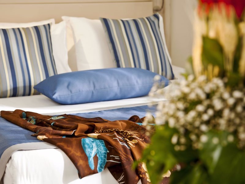 Papillon Belvil  265629