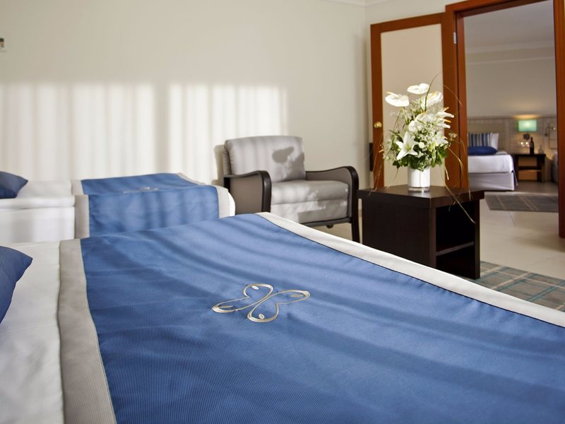 Papillon Belvil  265636