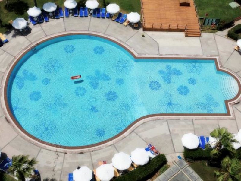 Papillon Belvil  96025